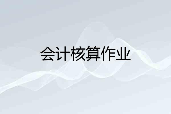 会计核算作业