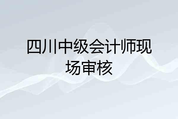 四川中级会计师现场审核
