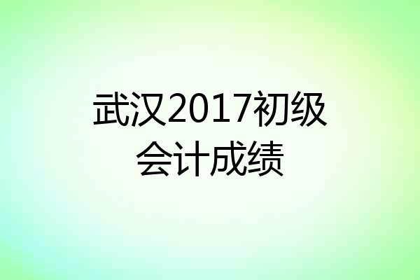 武汉2017初级会计成绩