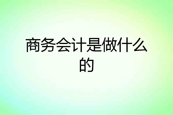 商务会计是做什么的