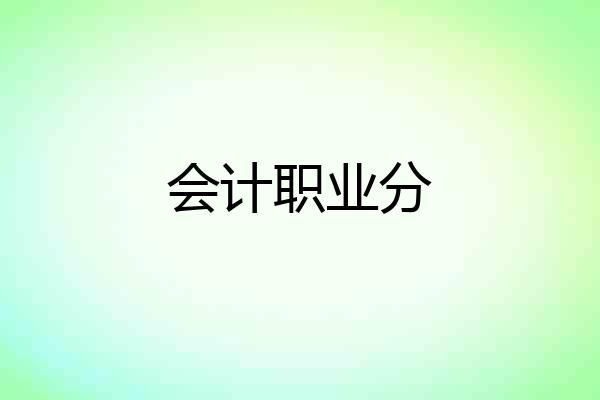 会计职业分