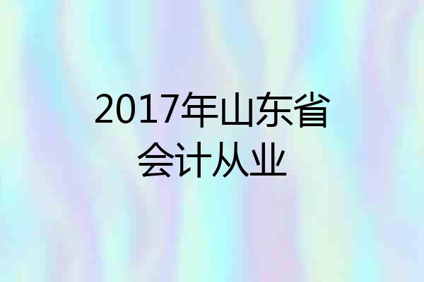 2017年山东省会计从业