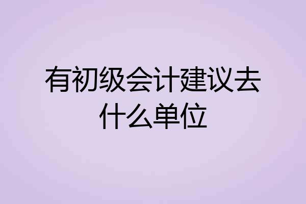 有初级会计建议去什么单位