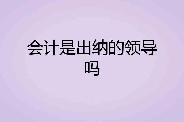 会计是出纳的领导吗