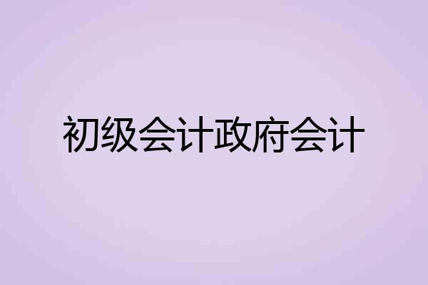 初级会计政府会计