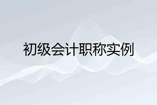 初级会计职称实例