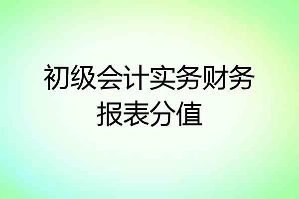 初级会计实务财务报表分值