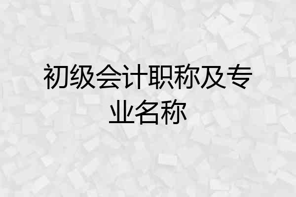初级会计职称及专业名称