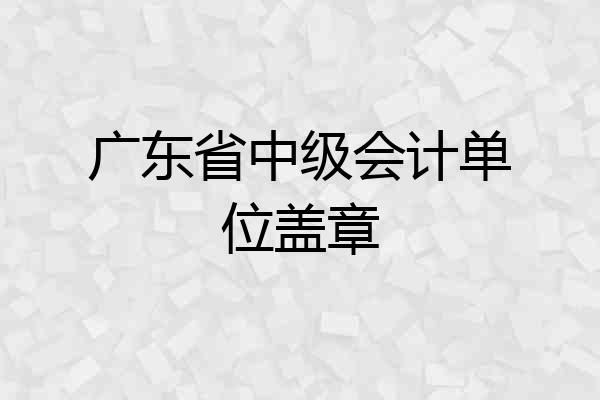 广东省中级会计单位盖章