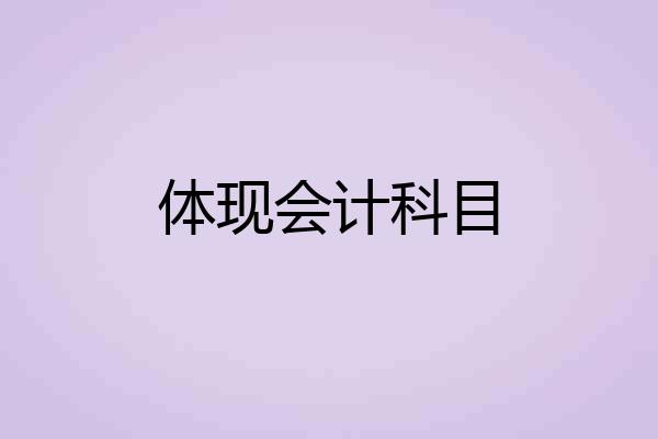 体现会计科目
