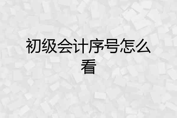 初级会计序号怎么看
