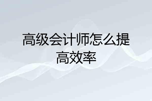 高级会计师怎么提高效率