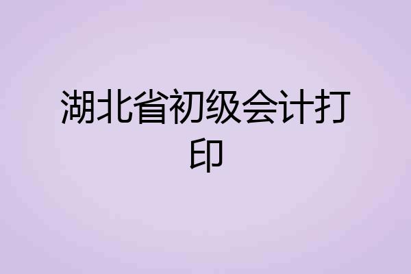 湖北省初级会计打印