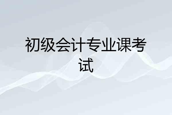 初级会计专业课考试