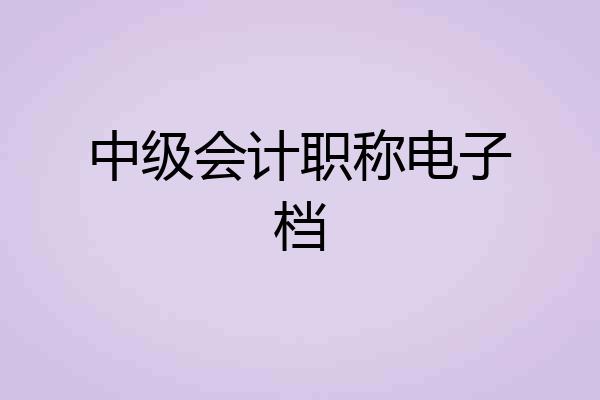 中级会计职称电子档