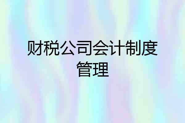 财税公司会计制度管理