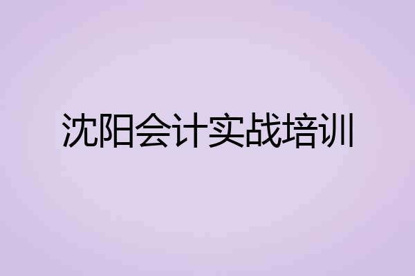 沈阳会计实战培训