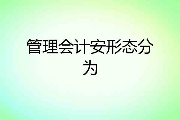 管理会计安形态分为