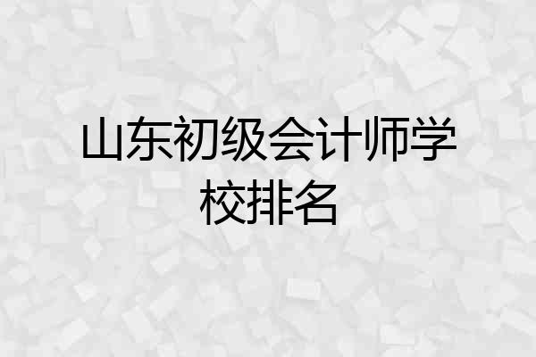 山东初级会计师学校排名