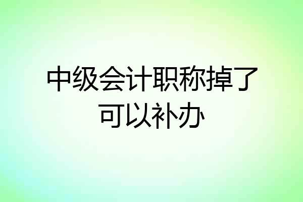 中级会计职称掉了可以补办