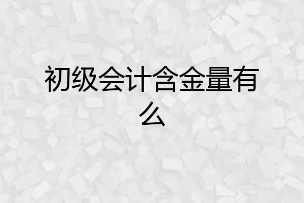 初级会计含金量有么