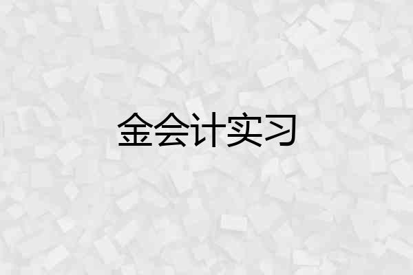 金会计实习