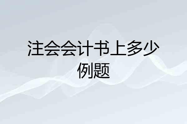 注会会计书上多少例题