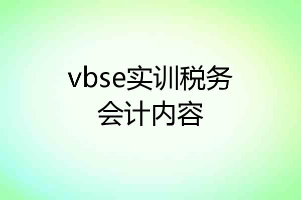 vbse实训税务会计内容