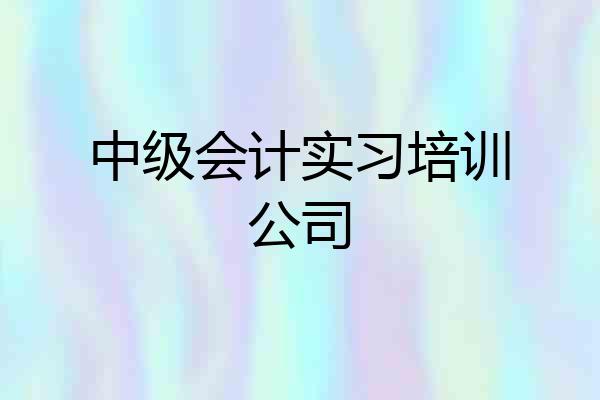 中级会计实习培训公司