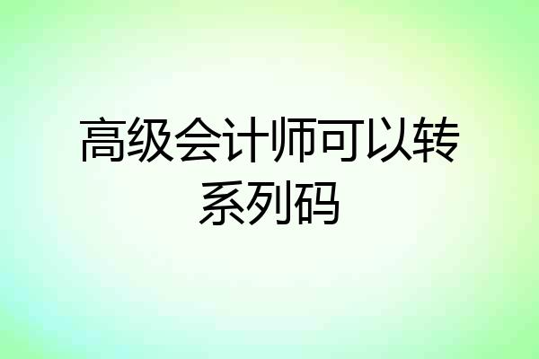 高级会计师可以转系列码