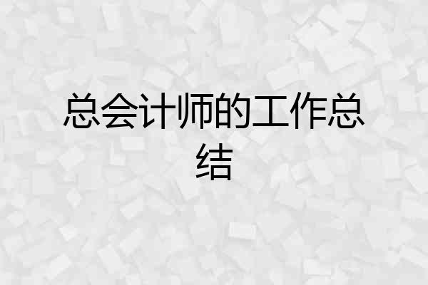 总会计师的工作总结