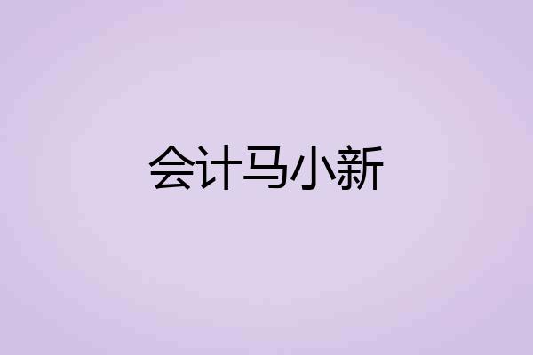 会计马小新