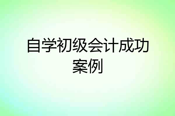 自学初级会计成功案例