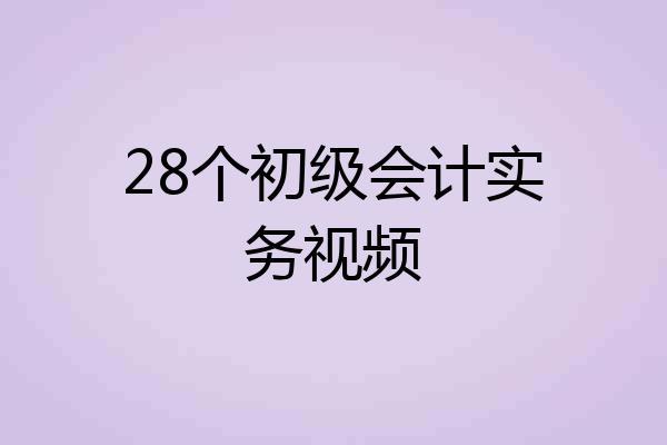 28个初级会计实务视频