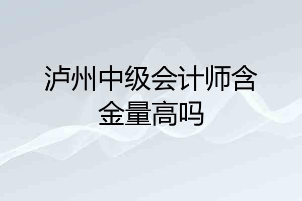 泸州中级会计师含金量高吗