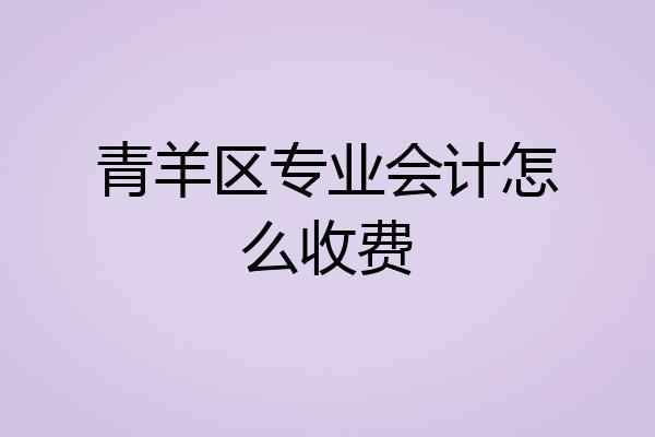 青羊区专业会计怎么收费