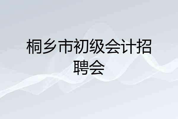 桐乡市初级会计招聘会