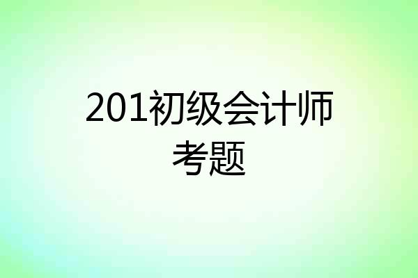 201初级会计师考题