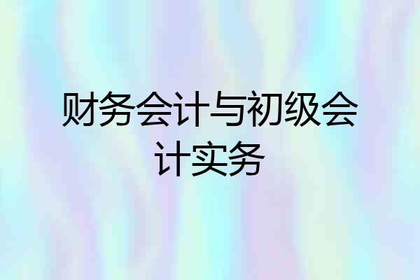 财务会计与初级会计实务