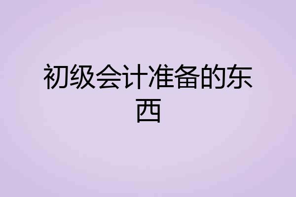 初级会计准备的东西