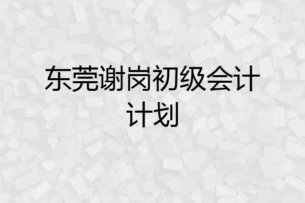 东莞谢岗初级会计计划