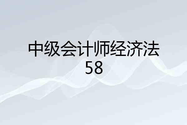 中级会计师经济法58