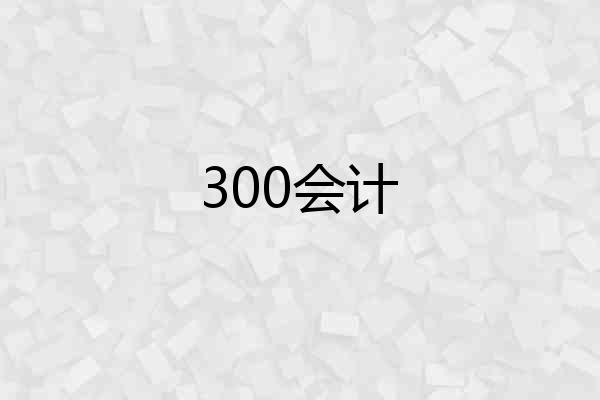 300会计