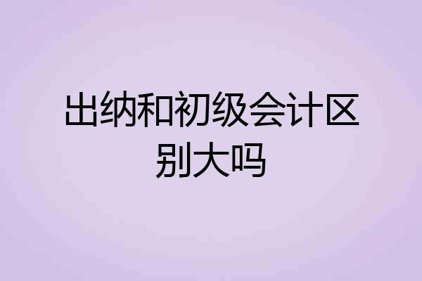 出纳和初级会计区别大吗