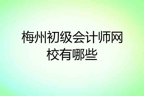 梅州初级会计师网校有哪些