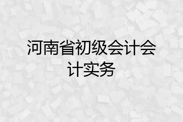 河南省初级会计会计实务