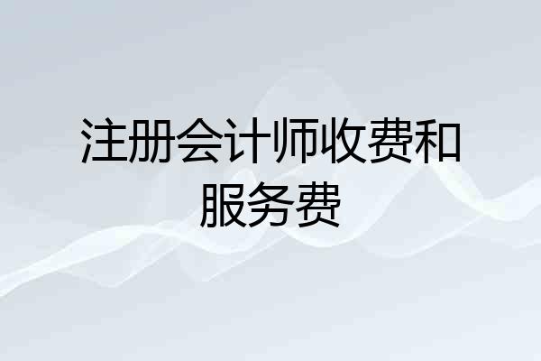 注册会计师收费和服务费