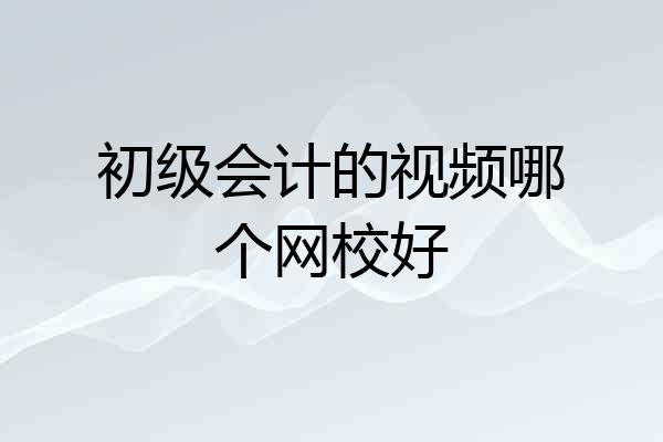 初级会计的视频哪个网校好