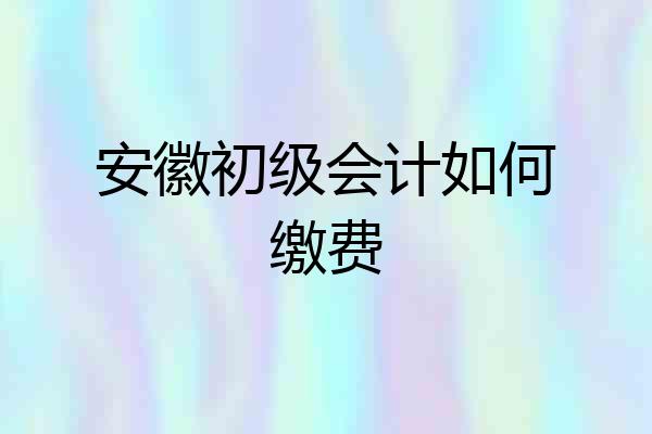安徽初级会计如何缴费