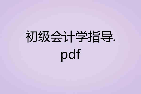 初级会计学指导.pdf